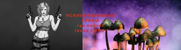 Альфа ПВП Новозыбков