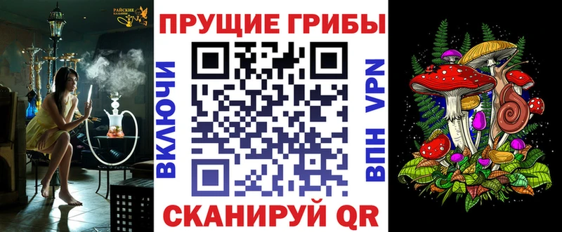 Купить где  Лесной  Галлюциногенные грибы MAGIC MUSHROOMS 